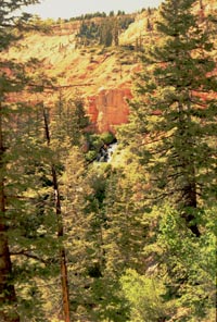 Cedar Breaks by coyote