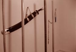 Sword used in ELAINE